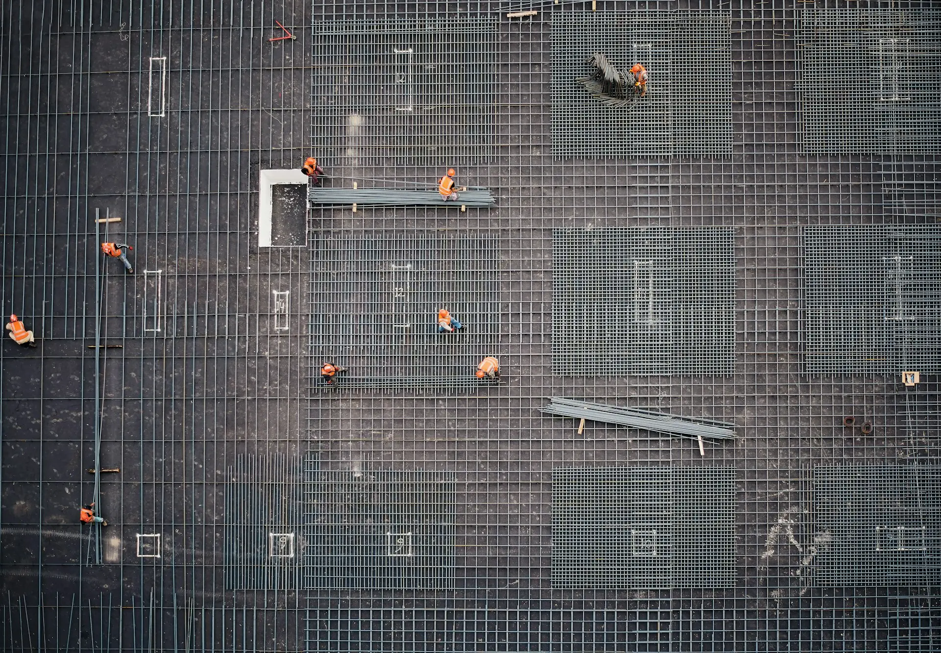 aerial photo of people in park at daytime