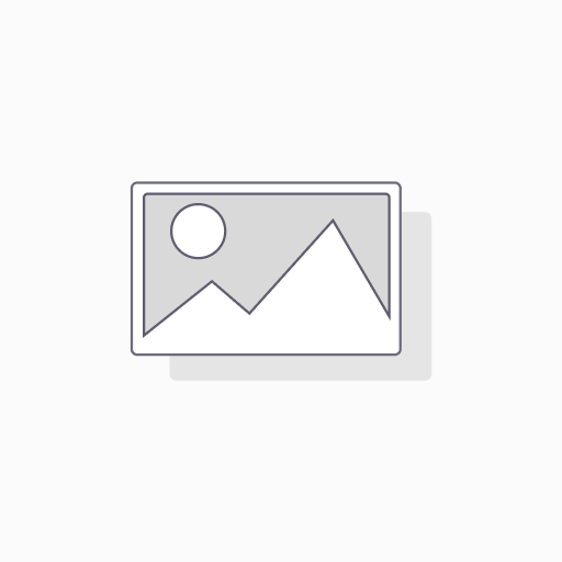 Fast Hosting Turbo